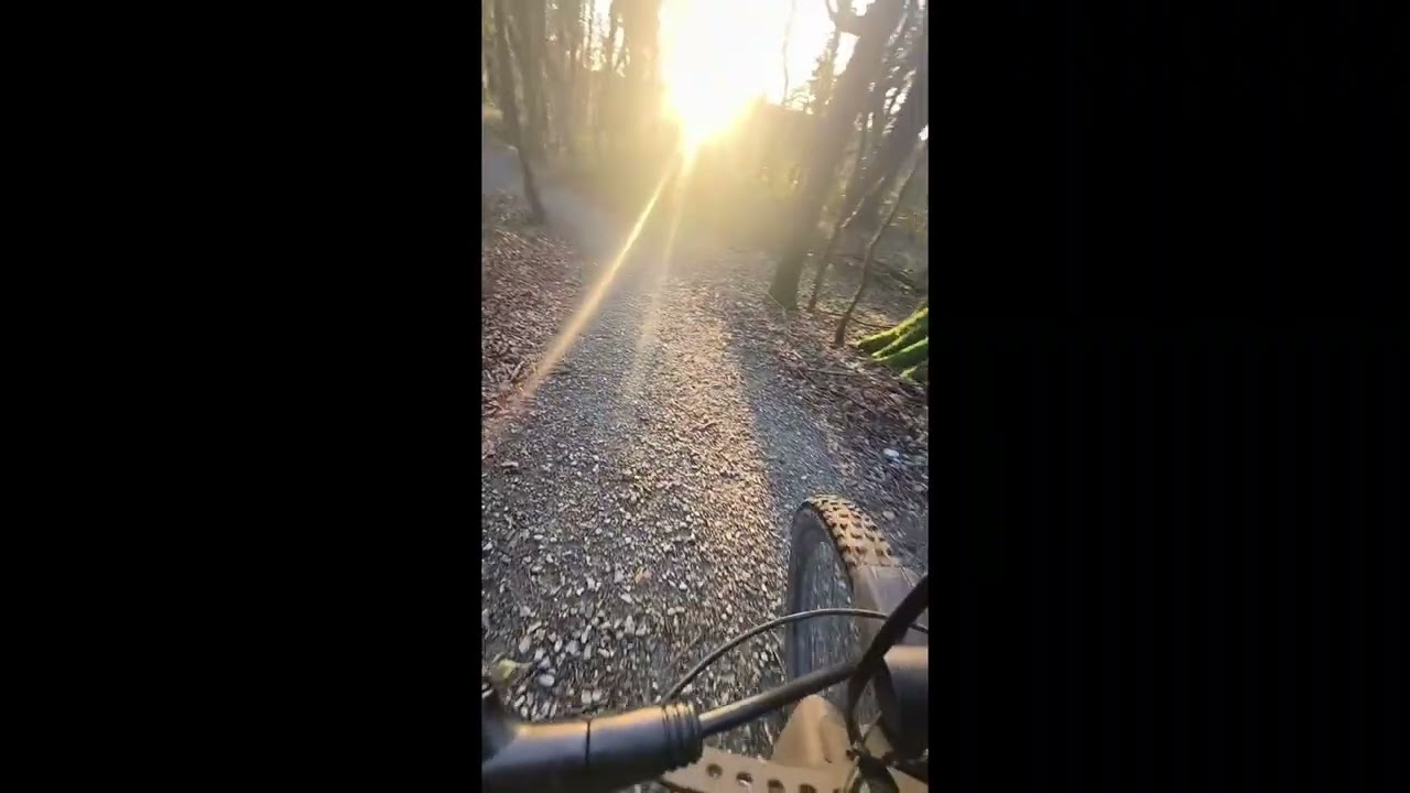 Another day in paradise 