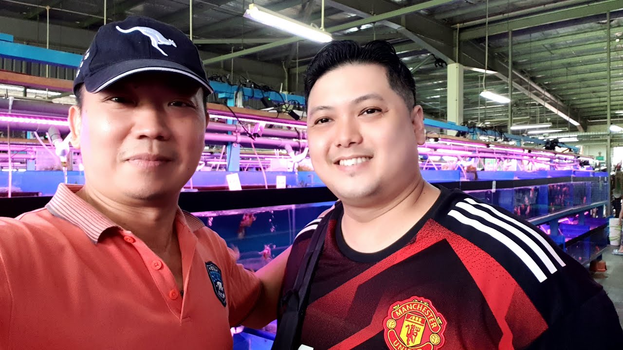LIOW VIDEO: Visit Nanyang Aquarium 南样鱼店之游