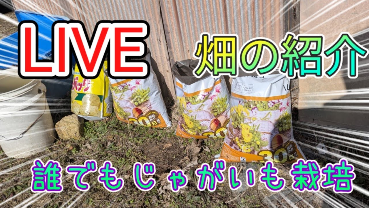 2026/2/17 畑の紹介LIVE配信　誰でもじゃがいも栽培