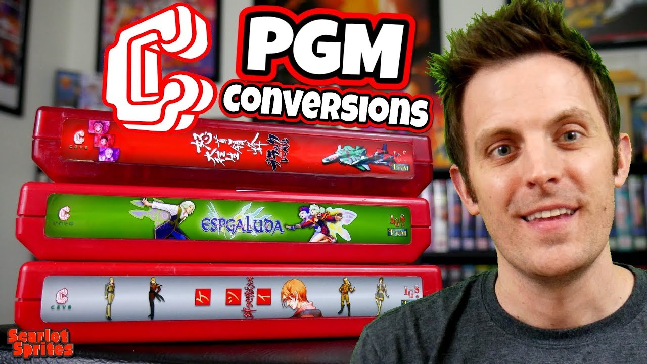 IGS PGM Cave Shooter Conversion Carts