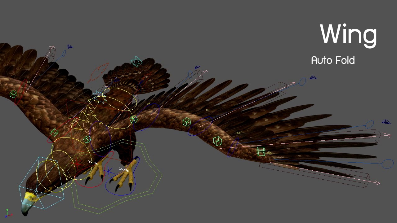 Rigging Bird's Wing for Animation