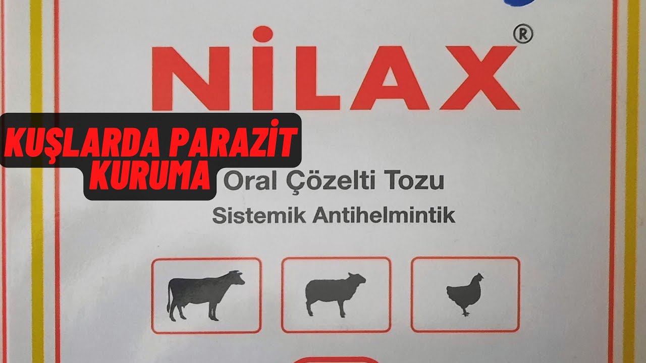 Kuşlarda İç Parazit Tedavisi ve Belirtileri