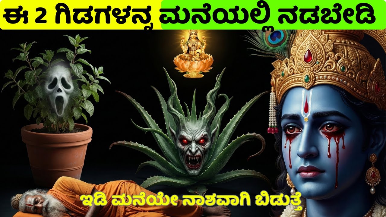 ಈ 2 ಗಿಡಗಳನ್ನು ಮನೆಯಲ್ಲಿ ನೆಟ್ಟರೆ ವಾಸ್ತು ಸಂಪೂರ್ಣ ಹಾಳಾಗುತ್ತದೆ! ಇಡೀ ಮನೆಯನ್ನು ನಾಶಮಾಡುತ್ತವೆ ಅಂತೆ!