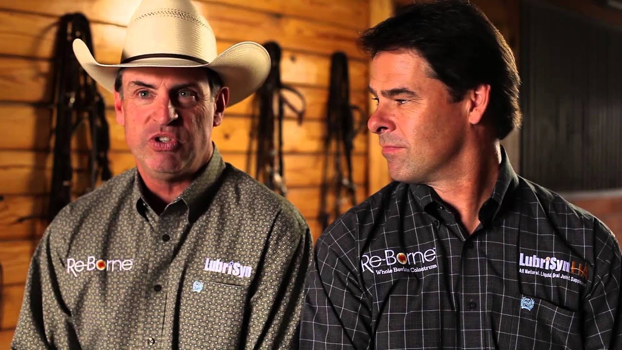 What's Wrong With My Horse - Stifle