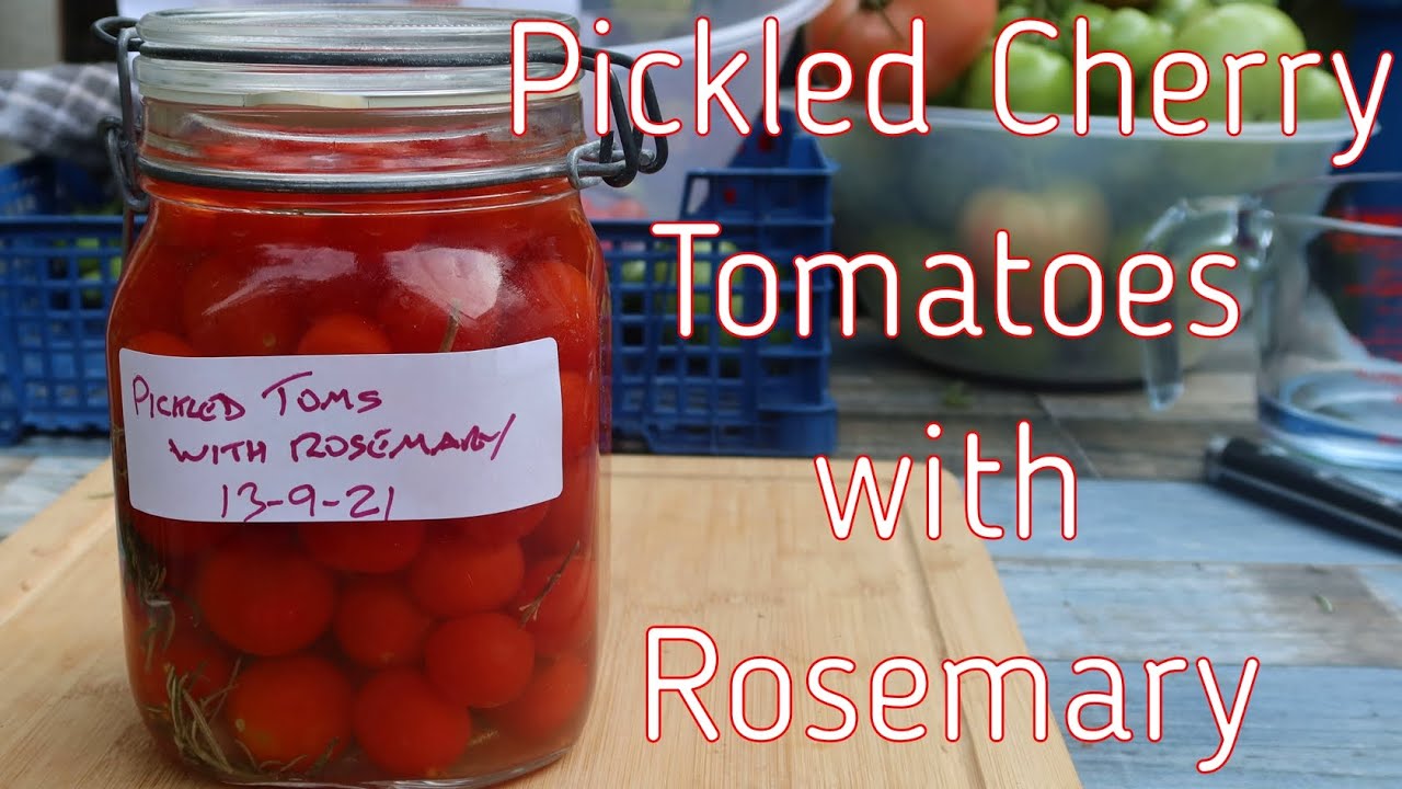 Pickled Cherry Tomatoes with Rosemary SO EASY!