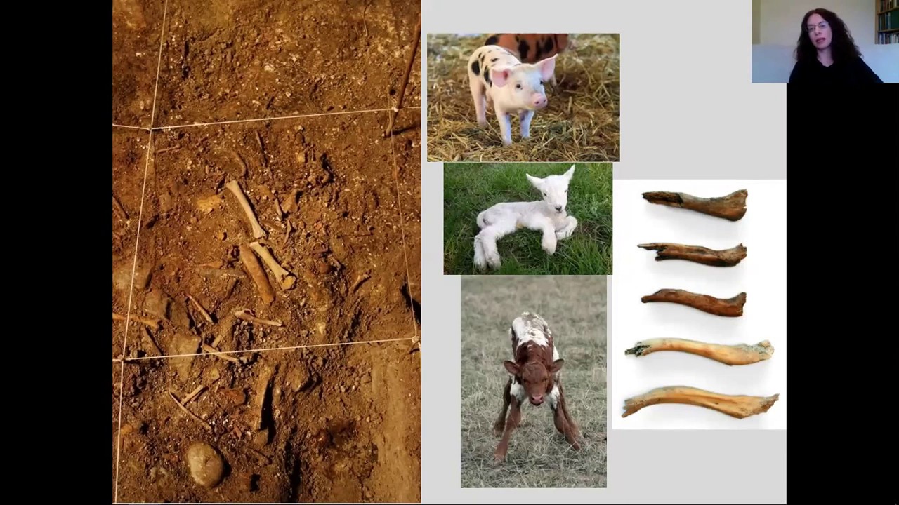 The Burren in the Bronze Age: Webinar with Marion Dowd
