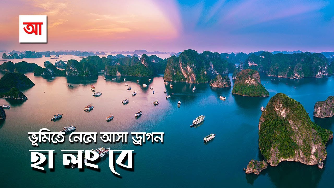ভূমিতে নেমে আসা ড্রাগন হা লং বে | আদ্যোপান্ত | Ha Long Bay | Natural Wonder of the World