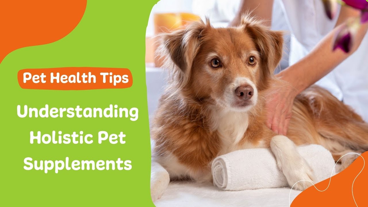 Understanding Holistic Pet Supplements