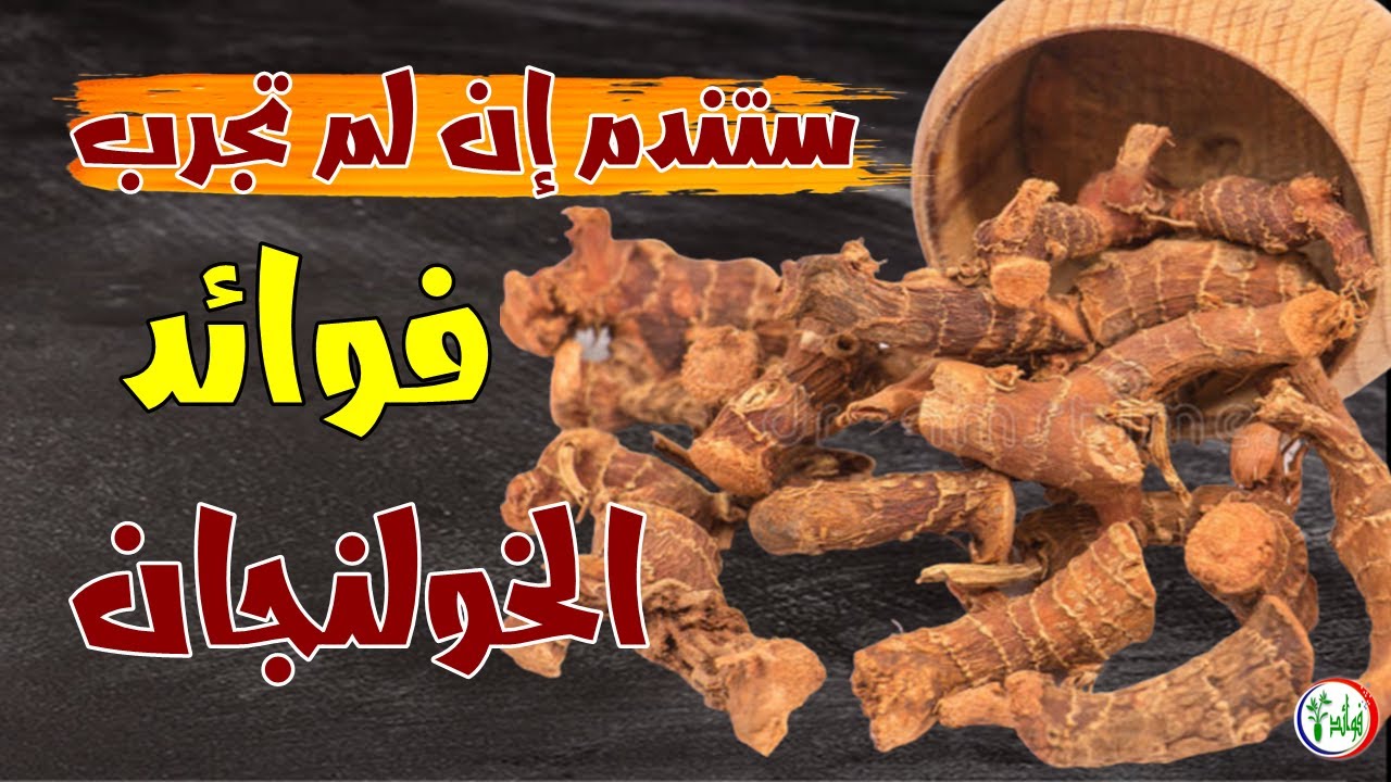 تناول عشبة الخولنجان يوميا لتشفيك من هذه الامراض وستغير حياتك ستندم إن لم تجرب فوائد الخولنجان