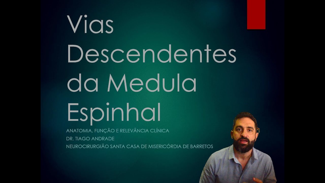 Vias Descendentes Medulares - Piramidal e Extrapiramidal