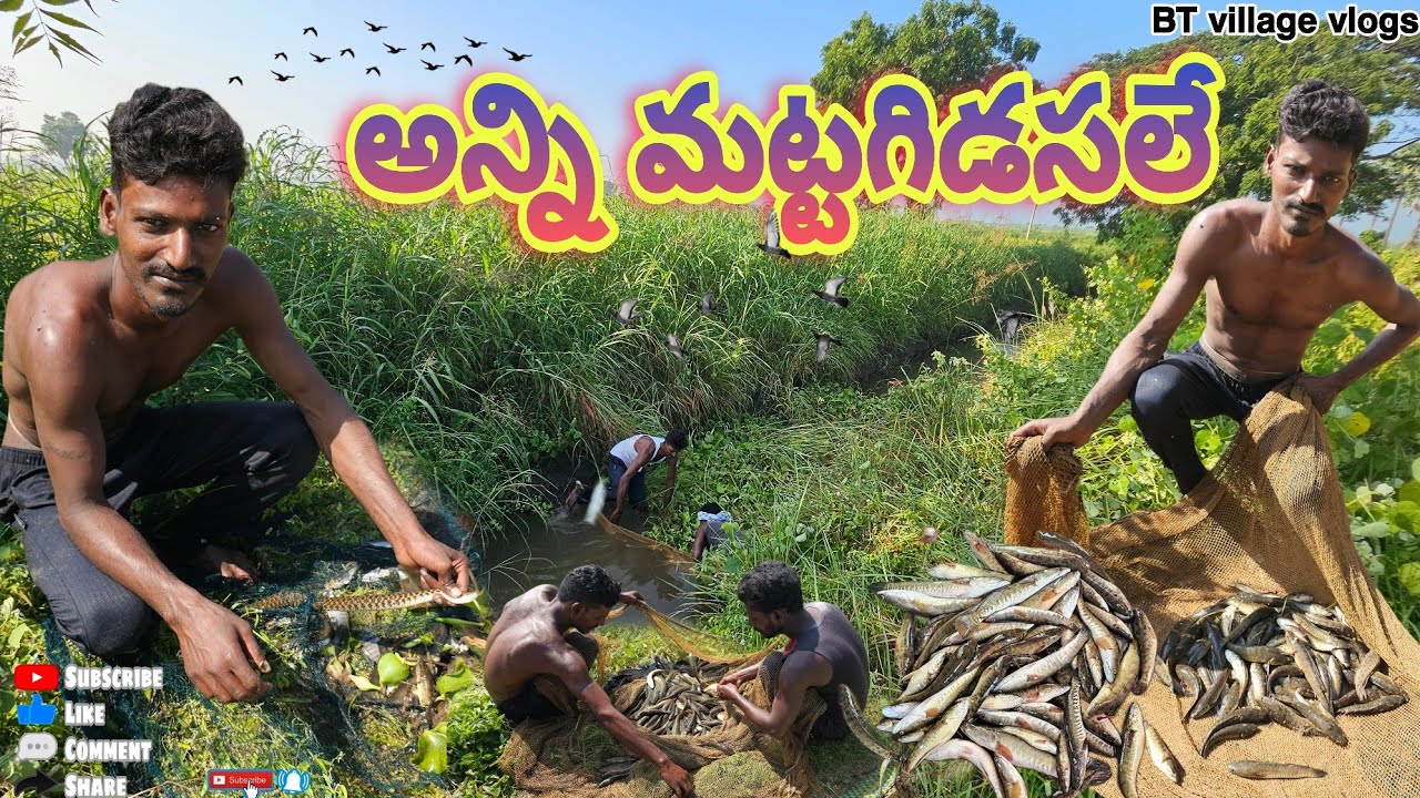 అన్ని మట్టగిడసలే #village #villagevideos #food #koramenu #fishing #cooking #fishhunting #fishgrill 