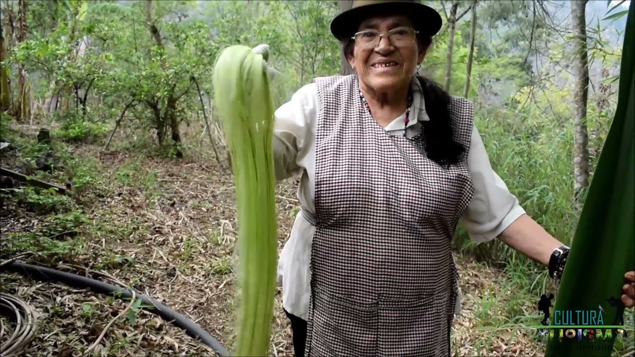 Tradiciones De Mi Pueblo Boyacense (Parte 3)