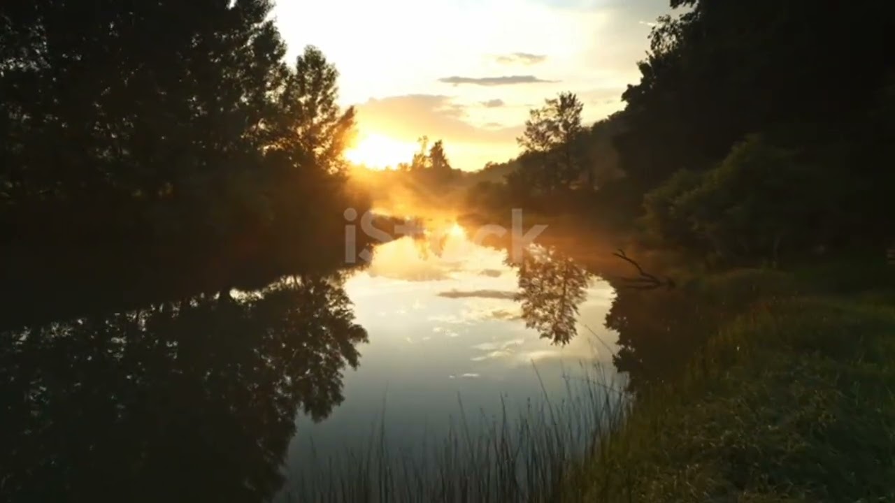 O amor faz renascer.