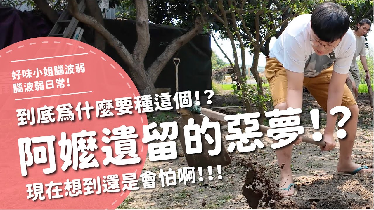 阿嬤遺留的惡夢！？到底為什麼要種這個！？現在想到還是會怕啊！！！【腦波弱日常】EP77