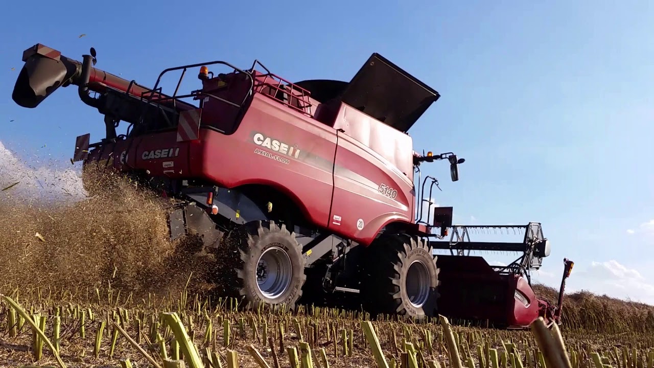 Zbiór rzepaku 2017 CASE  IH AXIAL-FLOW 5140