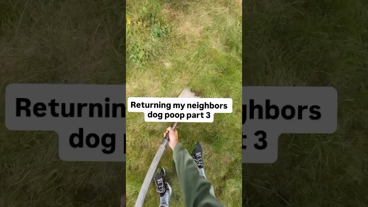 Returning My Neighbor&rsquo;s Dog Poop 💩😂 | #savage