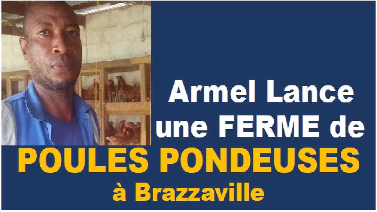 Comment Armel a lancé une FERME DE POULES PONDEUSES à Brazzaville