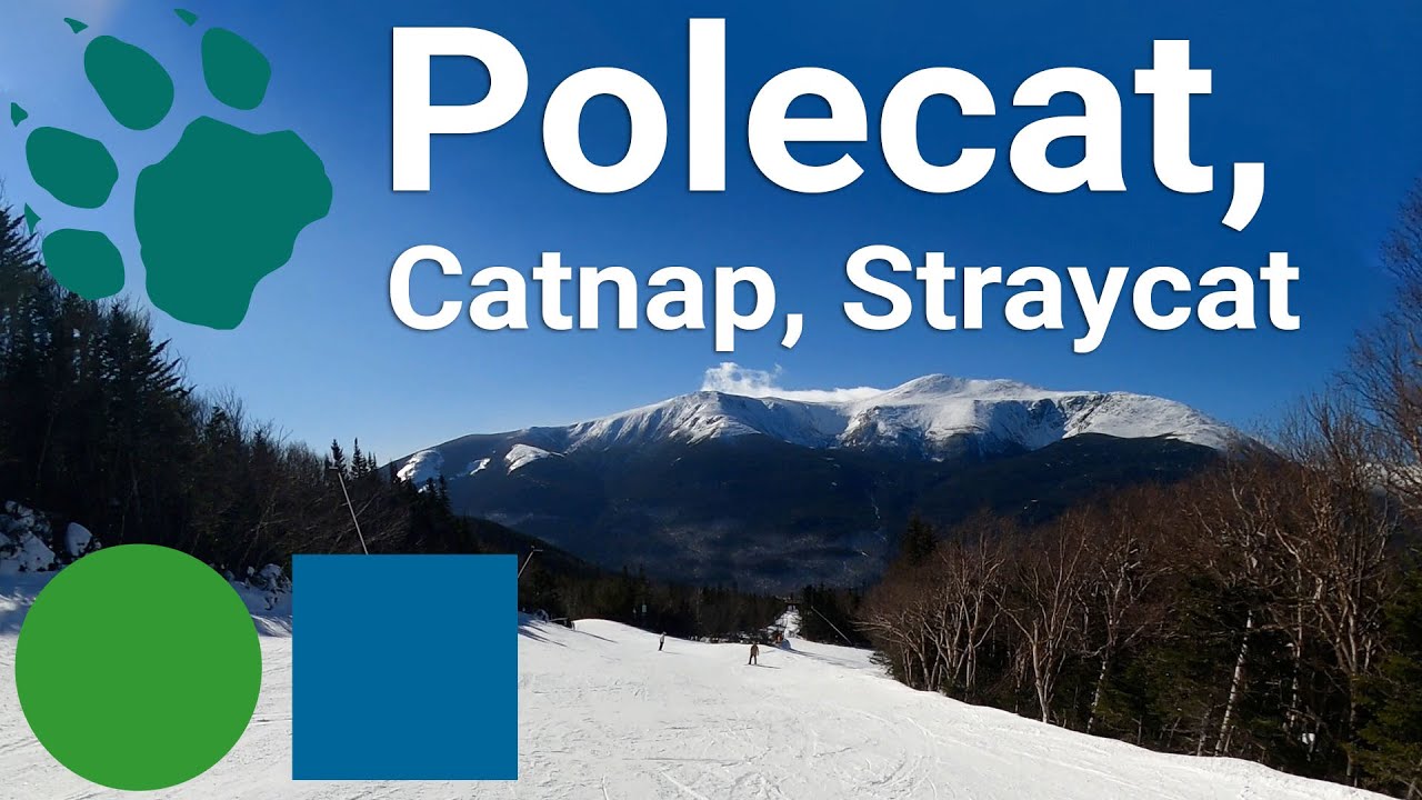 Wildcat Mountain - Polecat to Catnap to Straycat (Top to Bottom Run)