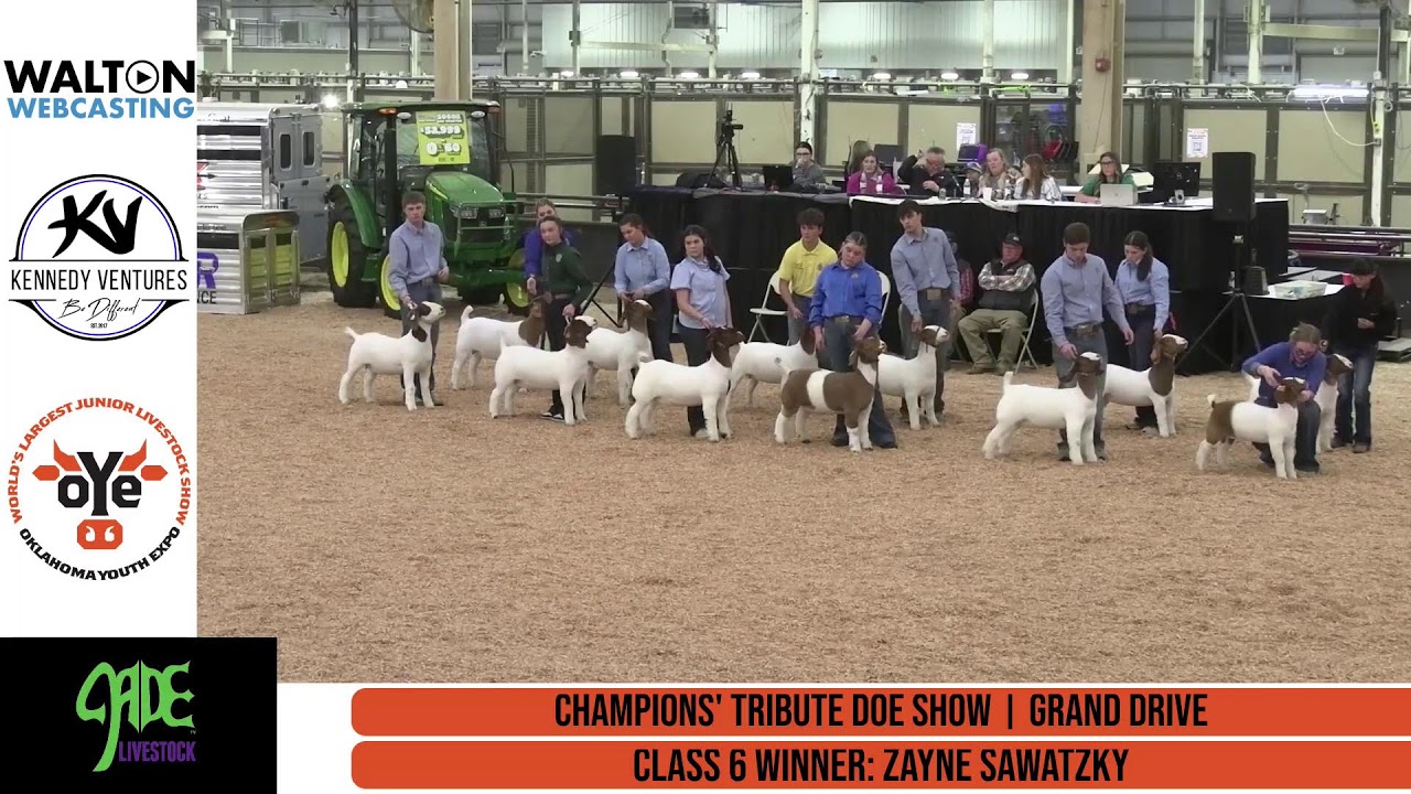 Breeding Doe Show - Super Barn Arena - Mar-13