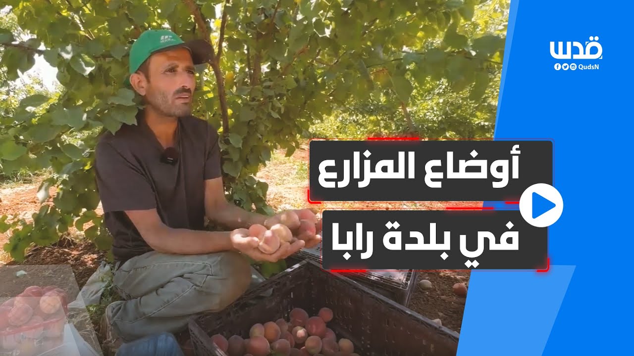 الفلسطيني رمزي زبيدات من الأغوار الشمالية، يتحدث عن مزرعته في بلدة رابا جنوب شرق جنين.