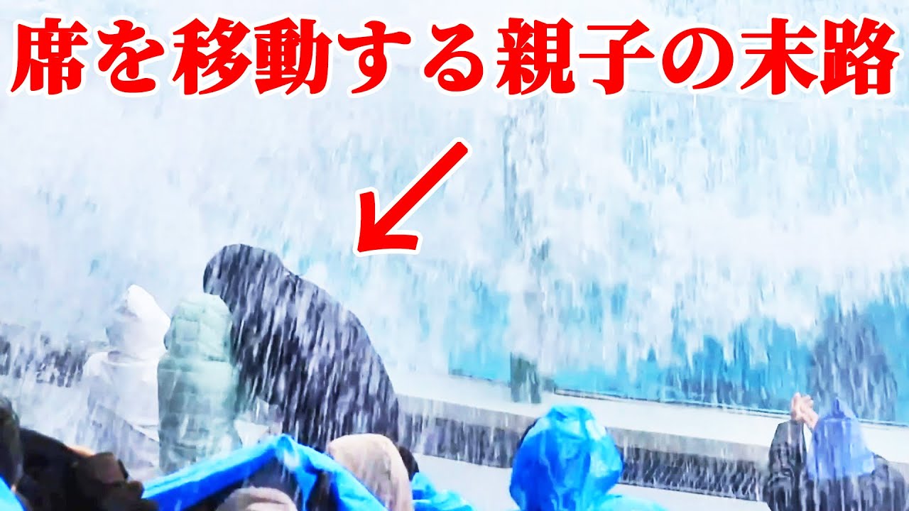 【ハプニング】シャチパフォーマンス中、スタッフの指示に従わない親子が撃沈!! 鴨川シーワールド シャチショー KamogawaSeaWorld  orca killerwhale