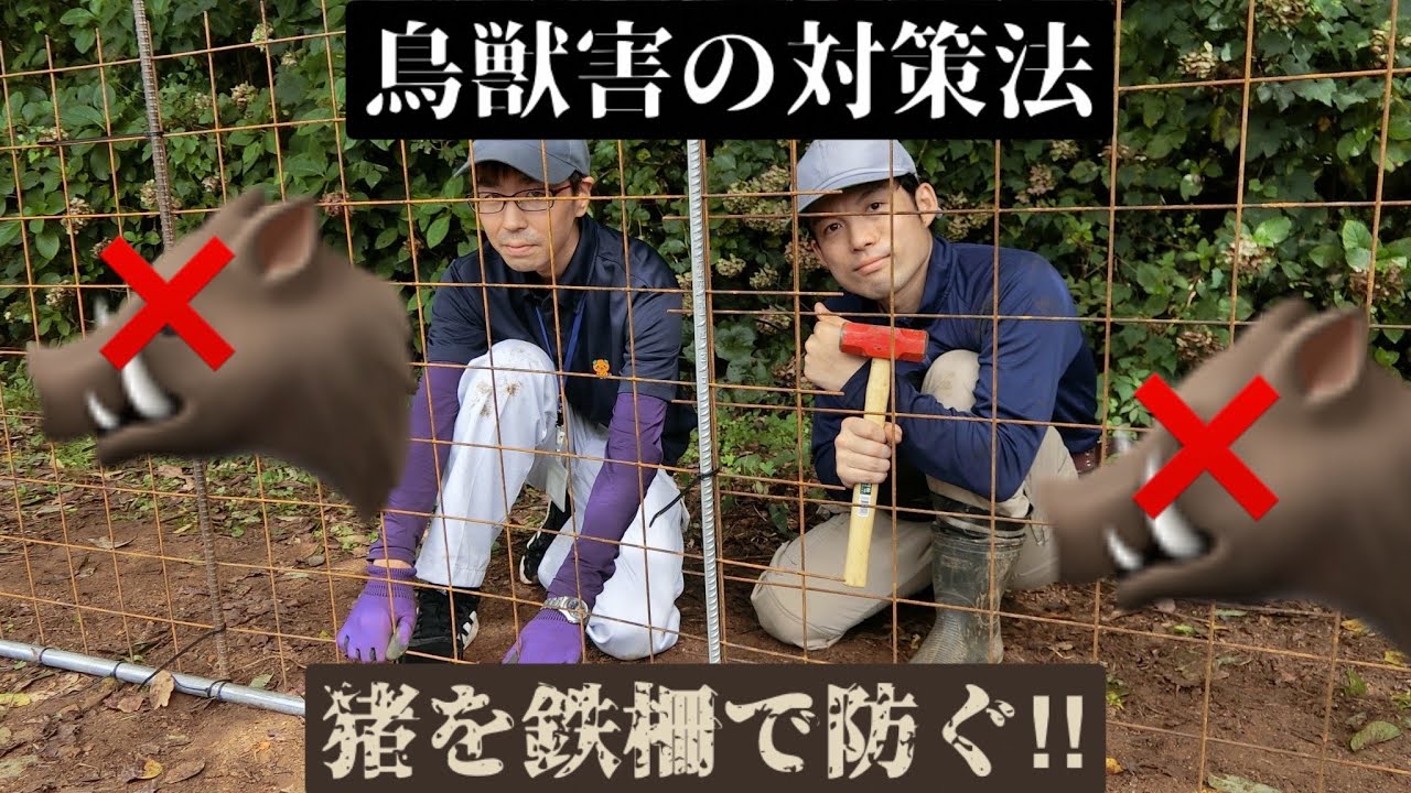 令和３年度シトラス講座第３回「鳥獣害の対策法」