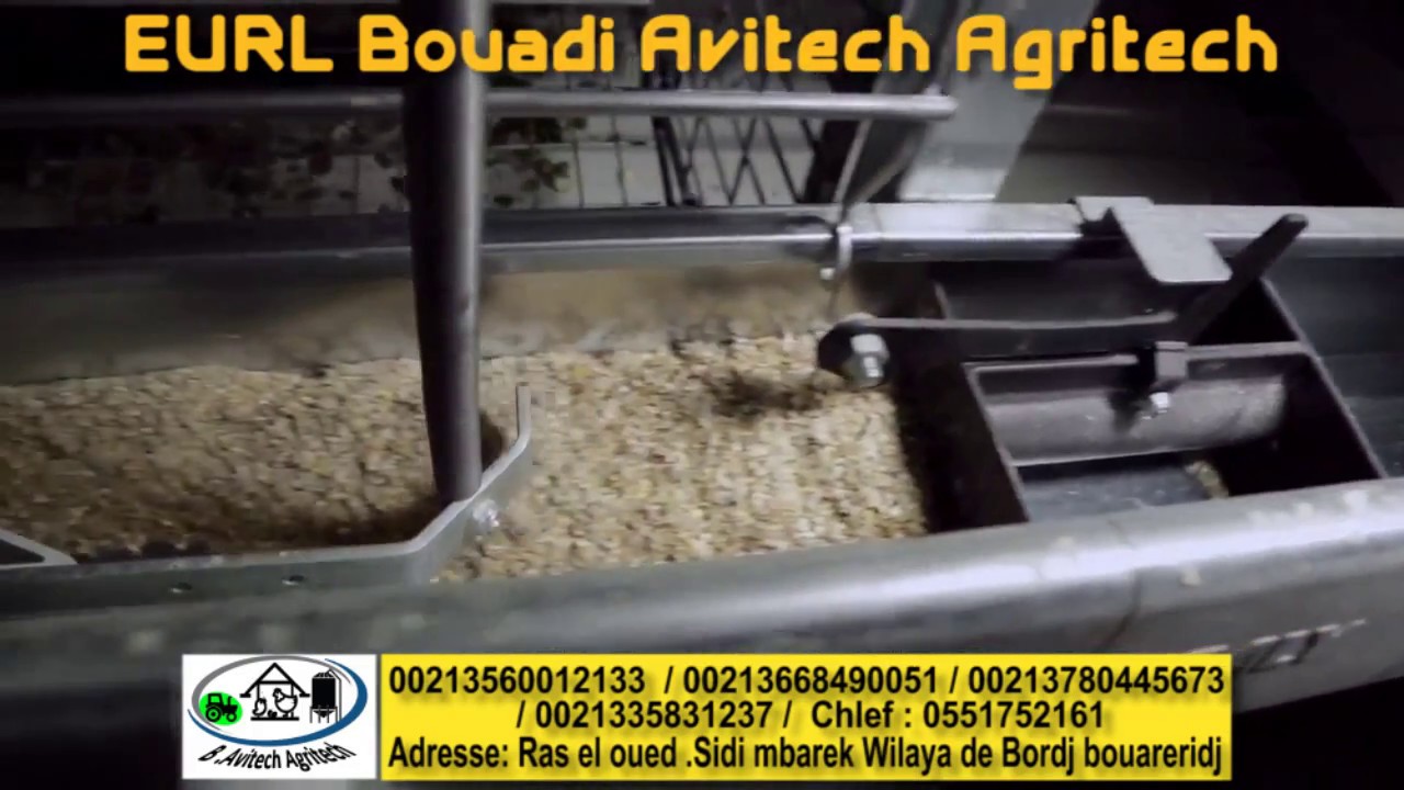 EURL BOUADI AVITECH AGRITECH - Batterrie Poule Pondeusse Importation VALLi  Italia