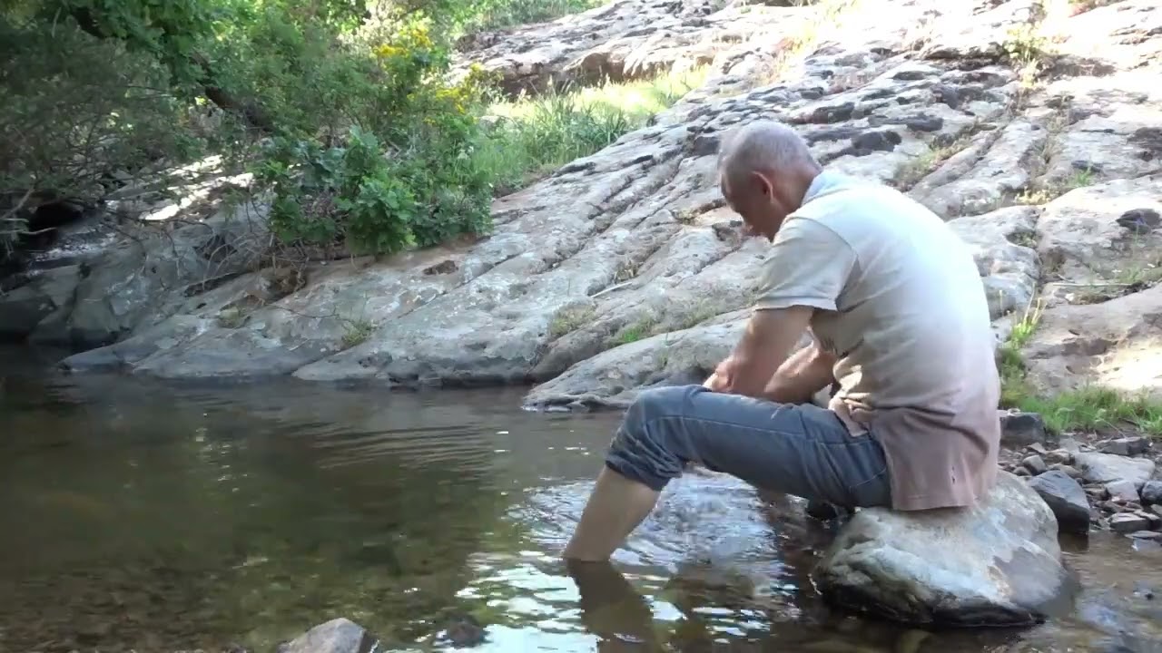 Parc national de Theniet el Had  2022.05.26