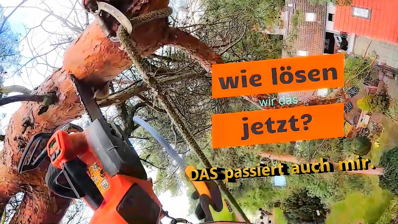 Wenn die Säge auf 30 Meter klemmt.🙄 UND NUN 🤔❓ Bades Baumdienst