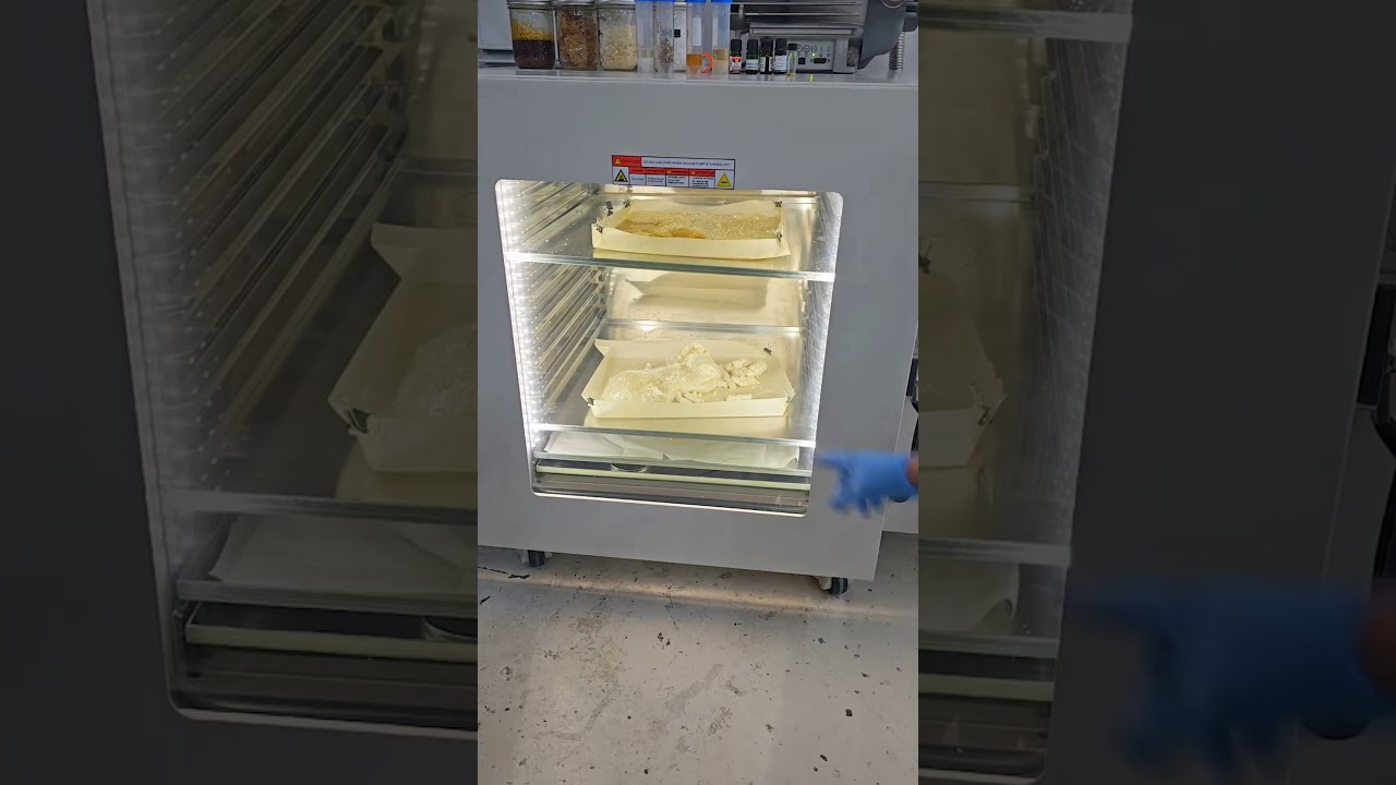 Pouring THCa Isolate 🤯👀 #thcaisolate #thcaconcentrate