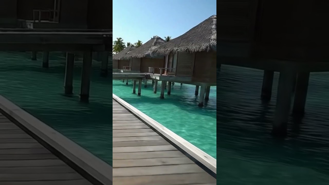 Walking to Paradise 🌴✨ | Overwater Cabanas & Turquoise Ocean POV #Shorts #maldives #paradise