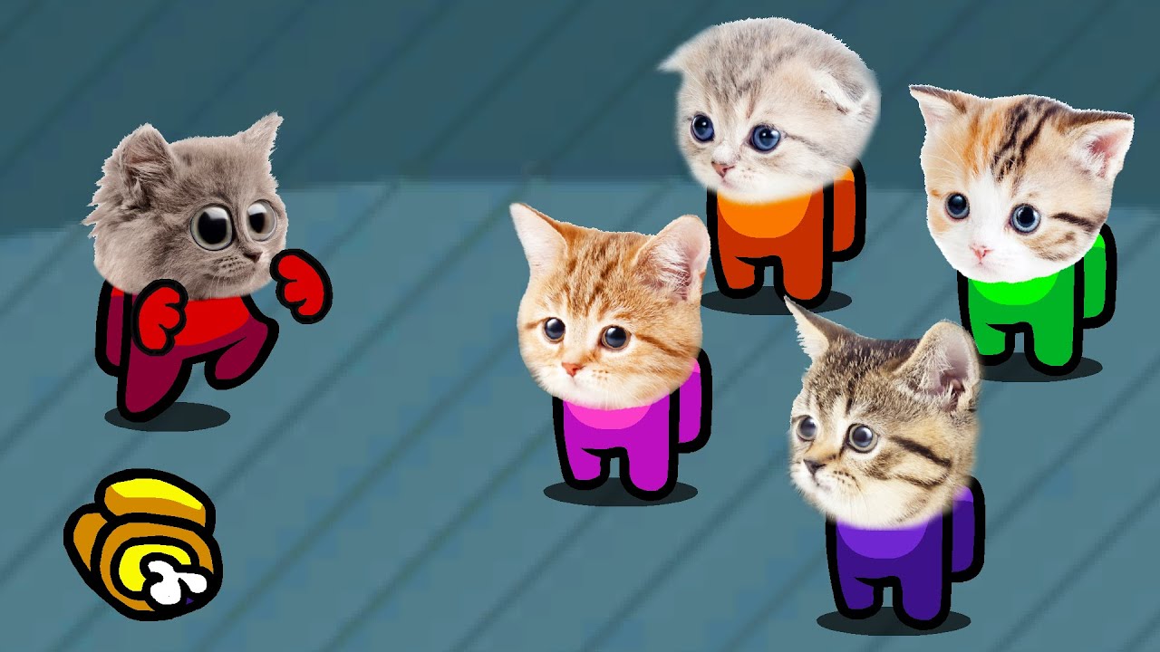 Among Us But It's Impostor Cats (Distraction Dance Animation)