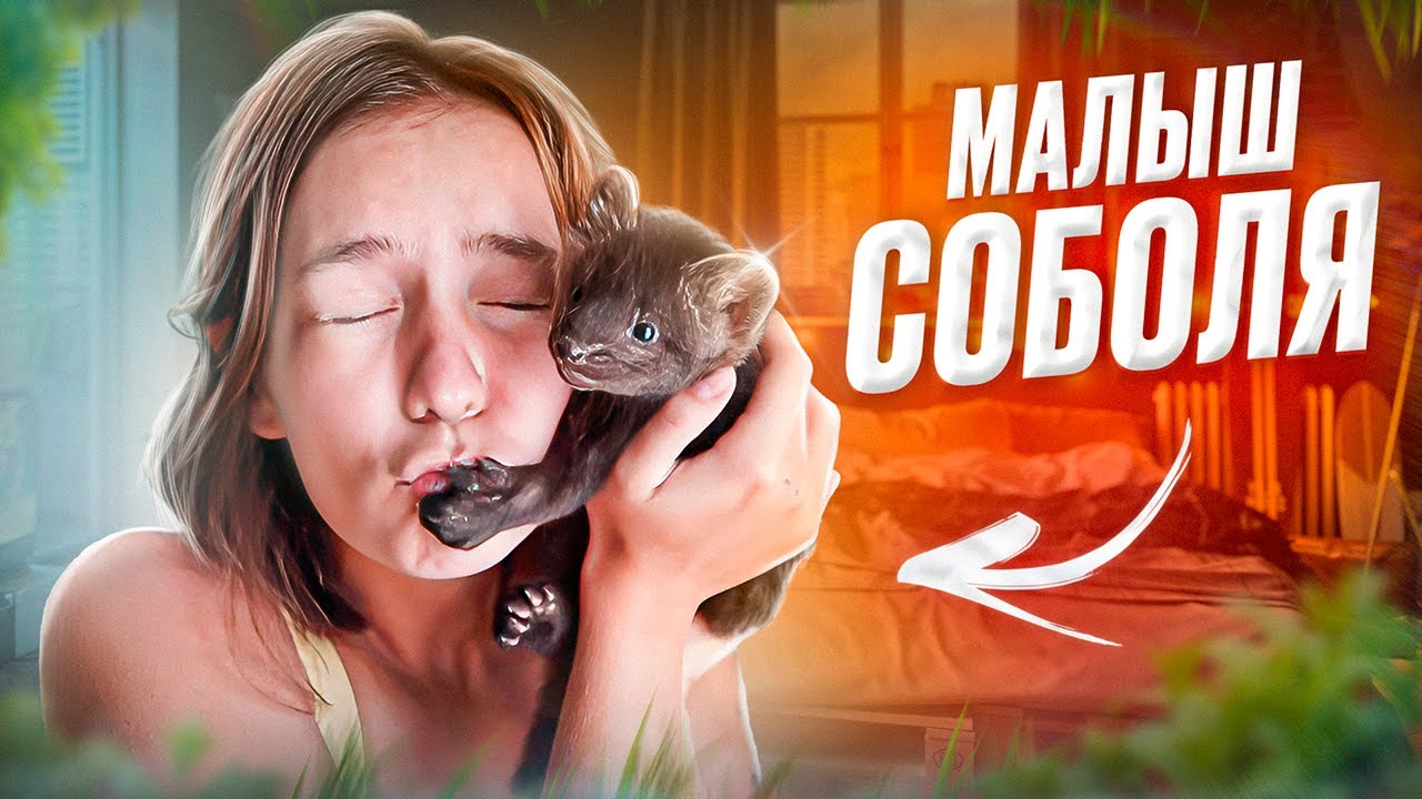 ВПЕРВЫЕ - Маленький СОБОЛЬ за 20.000 РУБЛЕЙ! Я в восторге!
