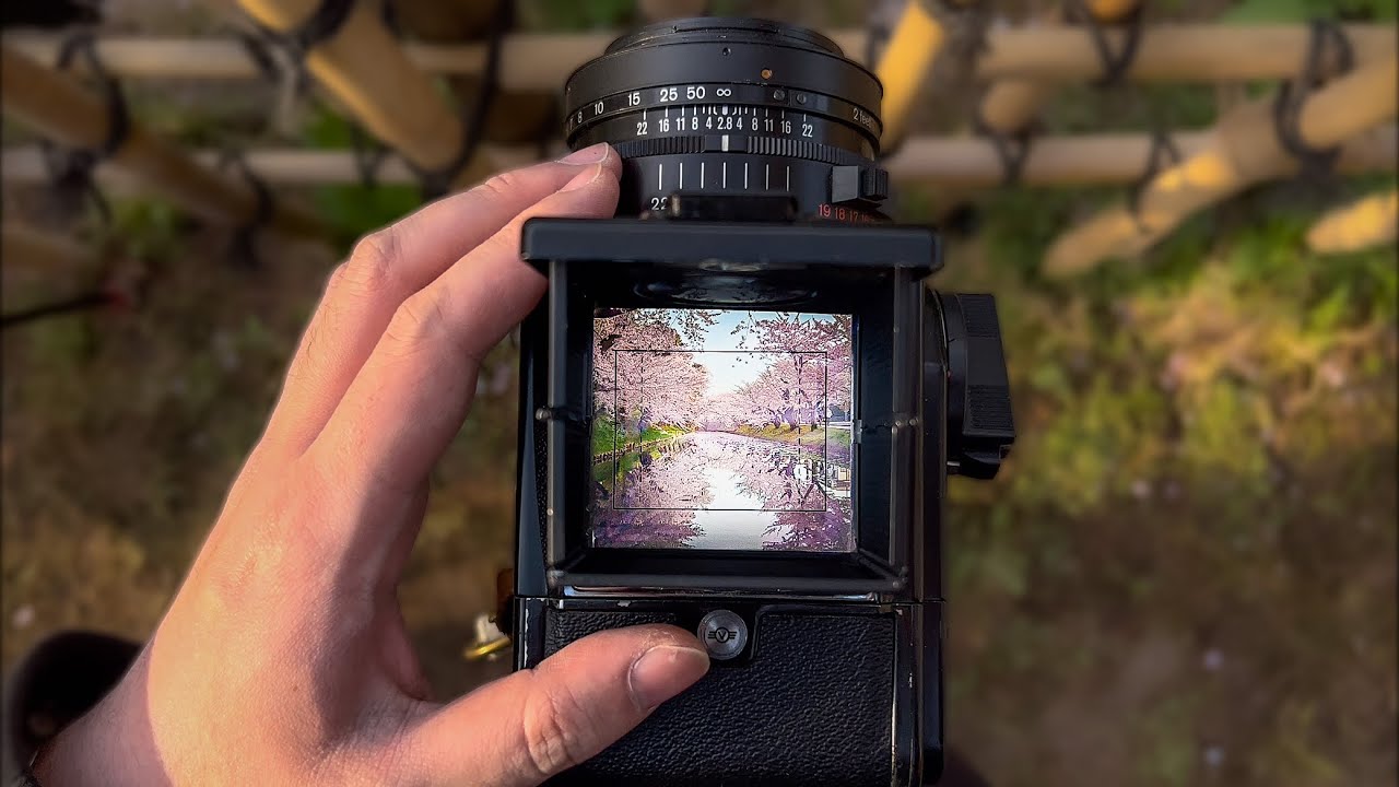 Shoot with Hasselblad 2000FCW Camera 【Landscapes photography】