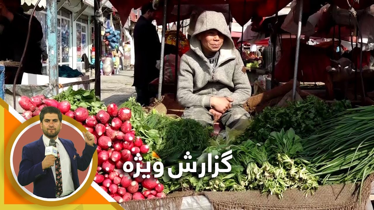 #HamayonAfghan Special Report - Qalae Bahaderkhan / گزارش ویژه همایون افغان از قلعه بهادر خان