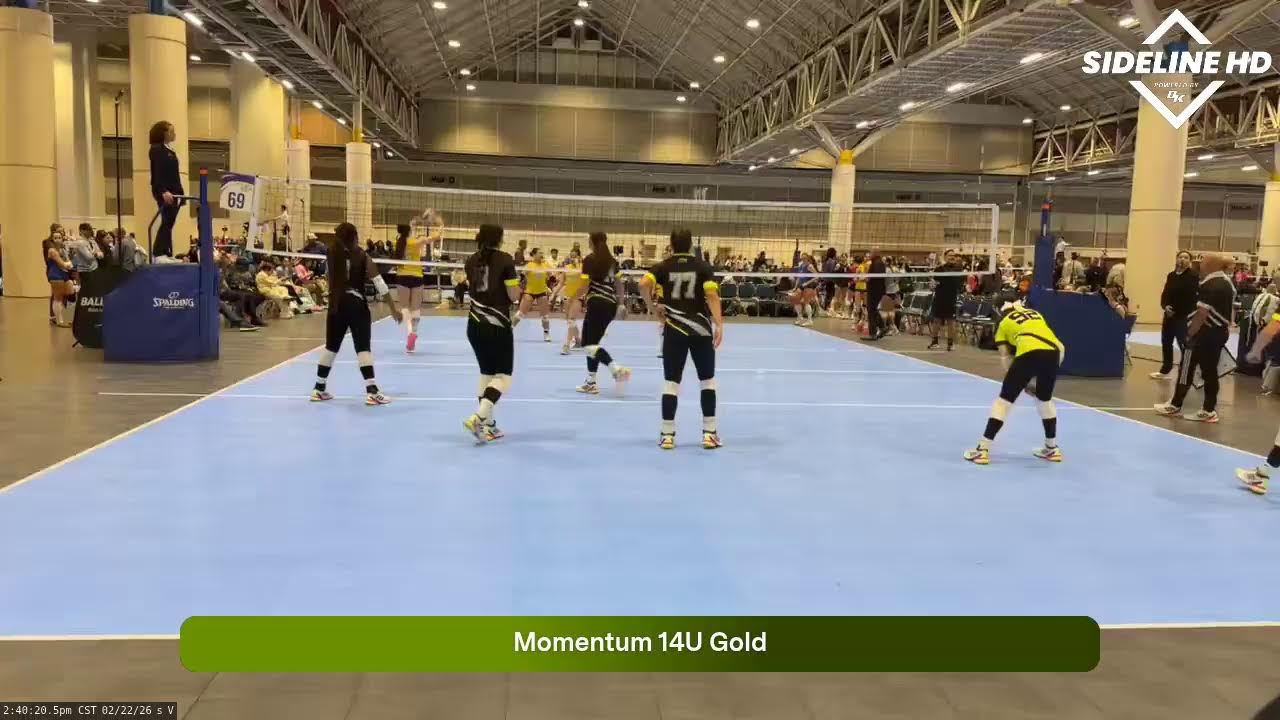 Momentum 14U Gold (2026.02.22)