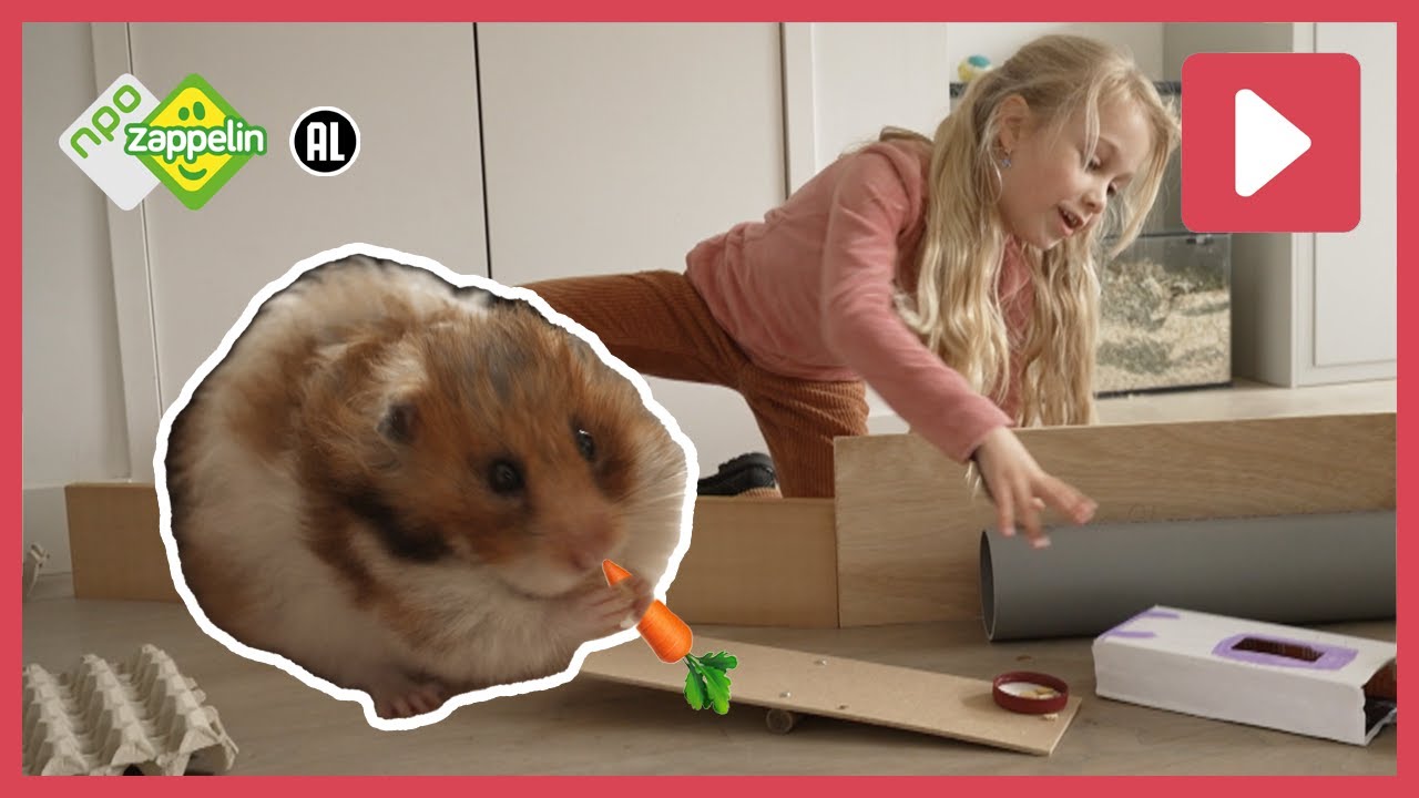 HAMSTER OP DE HINDERNISBAAN?! 🐹 | Beestenbrigade Missie | NPO Zappelin