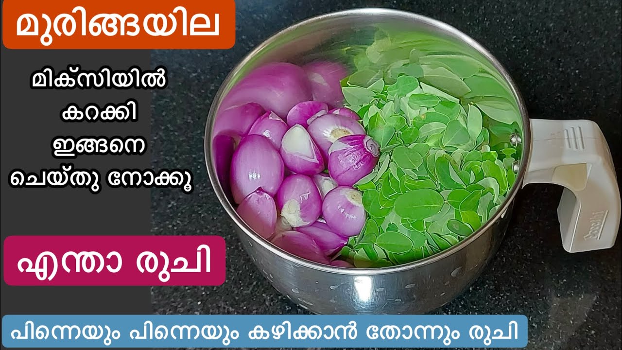 മുരിങ്ങയില മിക്സിയിൽ ഒറ്റ കറക്കൽ//2 Easy Healthy Moringa Recipes//ഒരിക്കലെങ്കിലും ഉണ്ടാക്കി നോക്കു