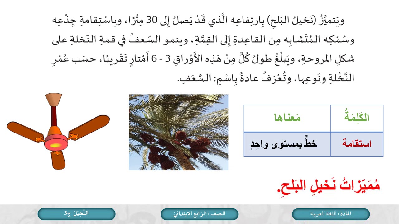 الصف الرابع اللغة العربية النخيل ج3