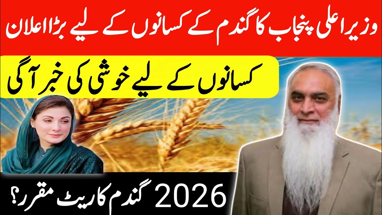 Wazir e Aala Punjab ka Gandum ke Kisanon ke liye Bara Ailan! Gandum price  2026?