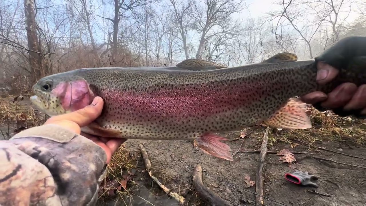 Catching Big Trout Before Opening Day!! MCMICHAEL CREEK ( PA ) 