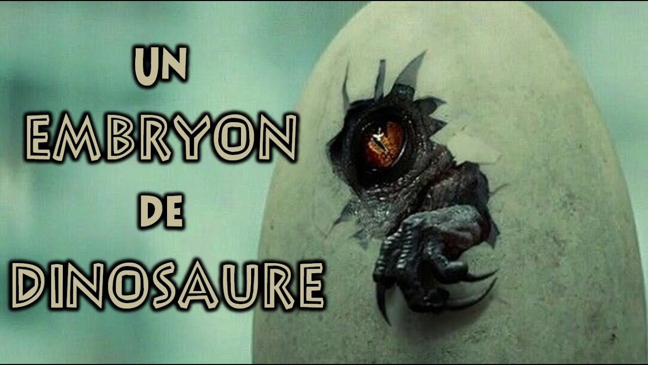 Ils ont étudié un vrai embryon de dinosaure !