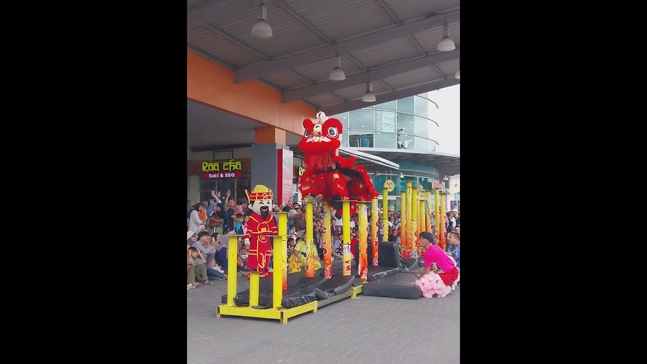 Pertunjukkan Barongsai #barongsai #bandung #pertunjukkan 