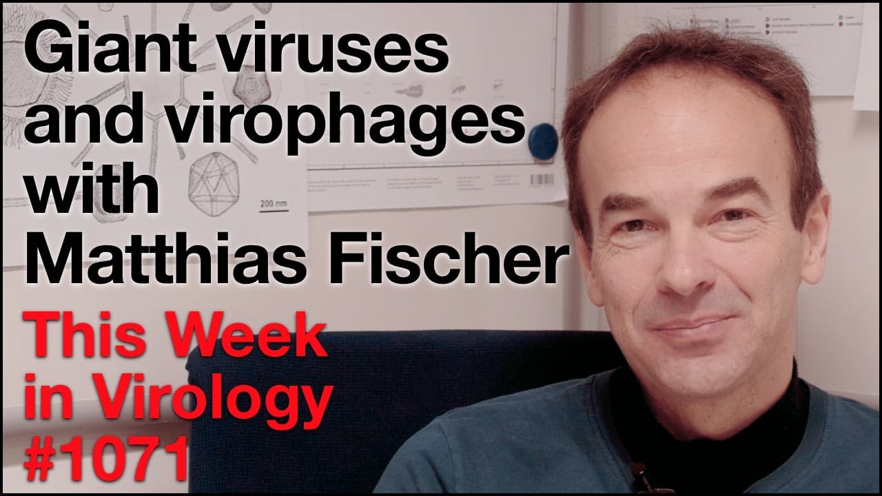 TWiV 1071: Giant viruses and virophages with Matthias Fischer