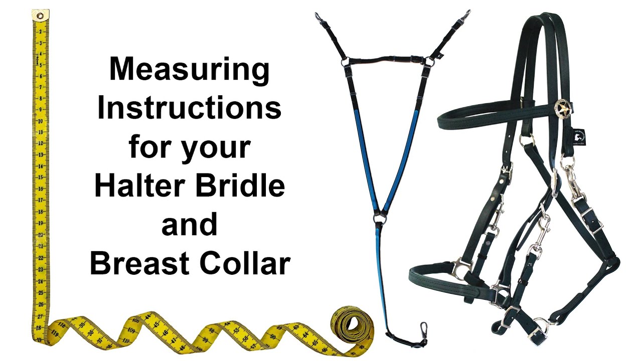 Halter Bridle and Breast Collar Measuring Instructions
