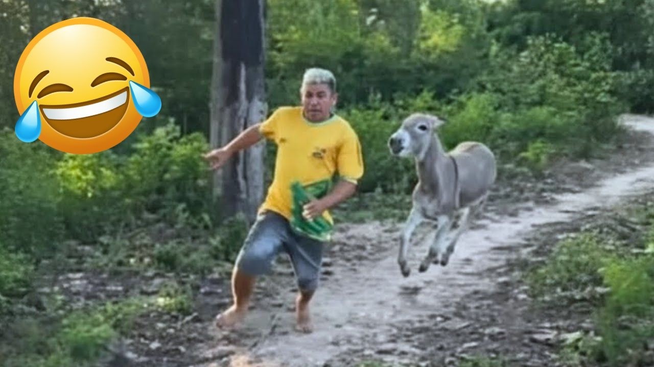 Try Not To Laugh Challenge 😂 | Ultimate Fail Compilation.