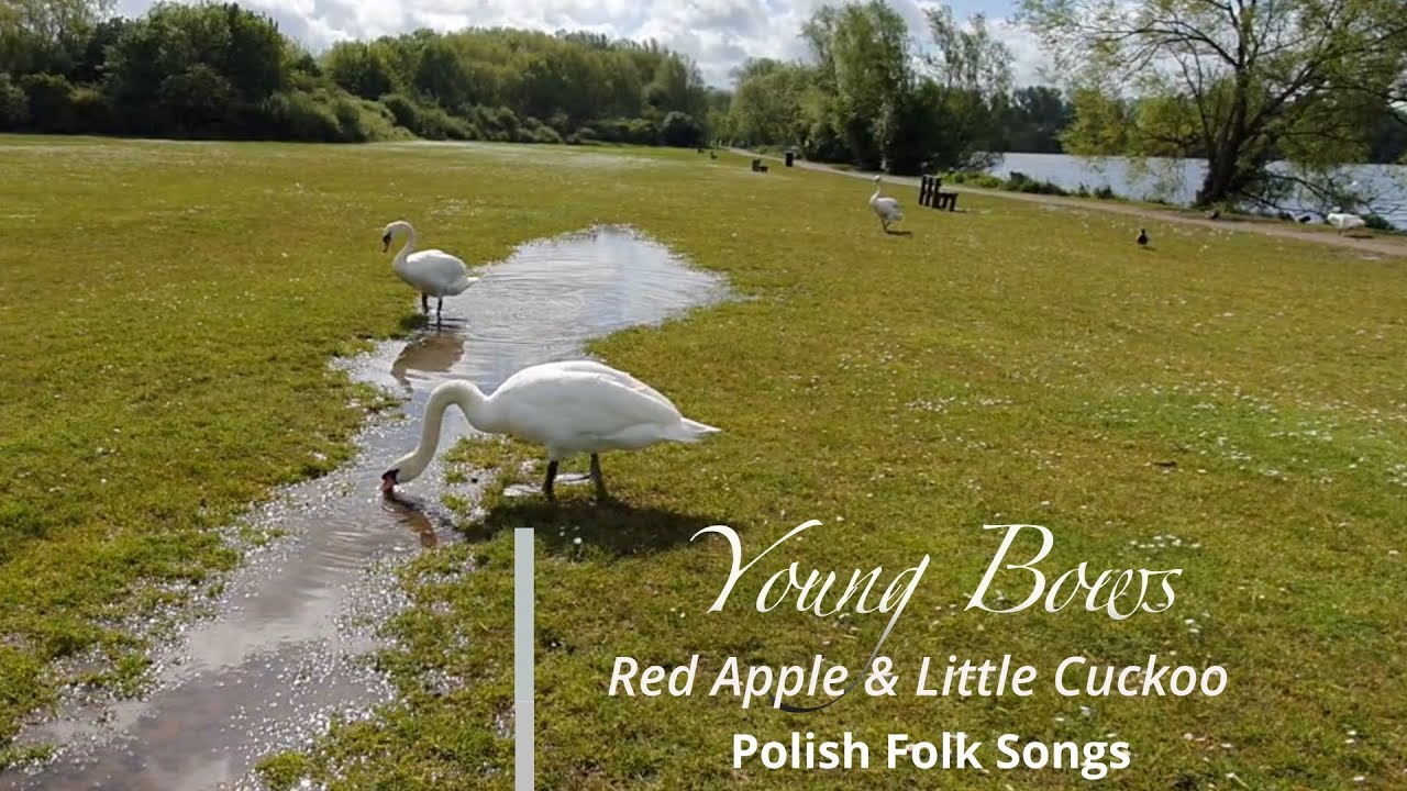 Czerwone jabłuszko z  Kukułeczką   (Polish folk songs)   Młode smyczki / Young Bows