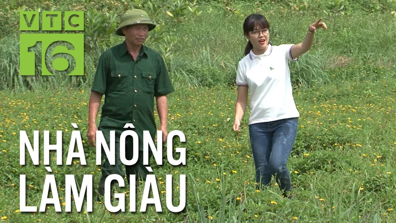 Trồng cây dược liệu, nông dân trở nên giàu có | VTC16