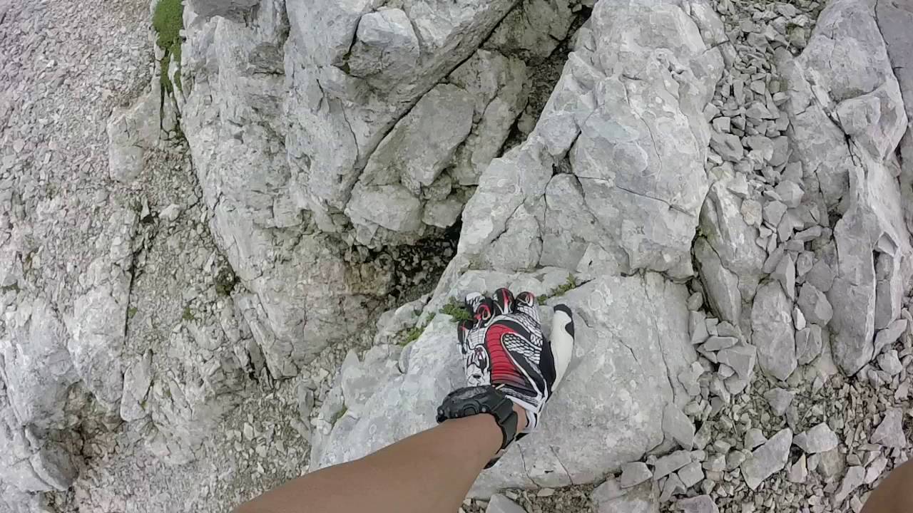 Ofelekopf