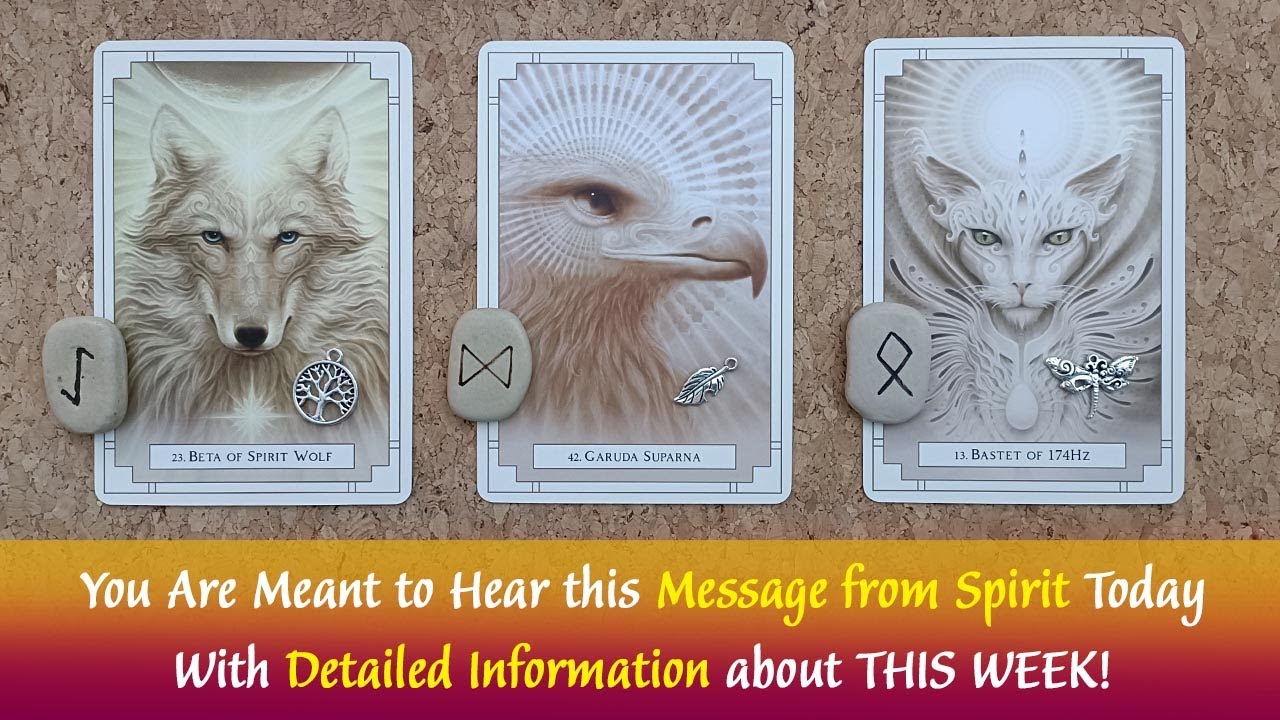 You Are Meant to Hear This Detailed Message from Spirit Today ⌛🤗🙏😇#timelesstarotreading #pickacard